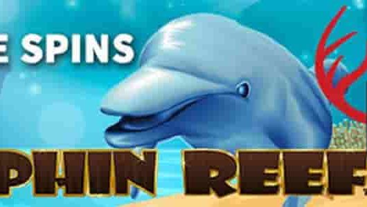 50 FS Dolpin Reef RedStag