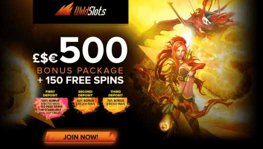 wild slots casino