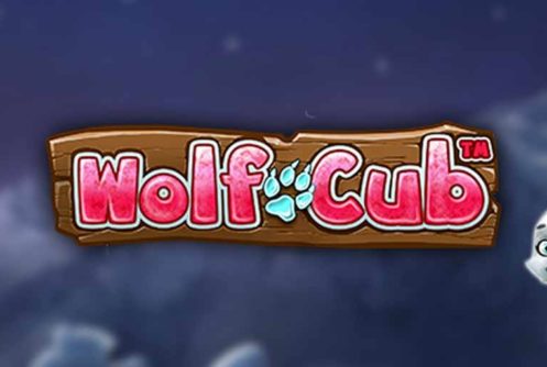 Wolf Cub video slot game