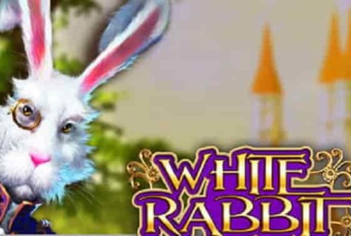 White Rabbit video slots